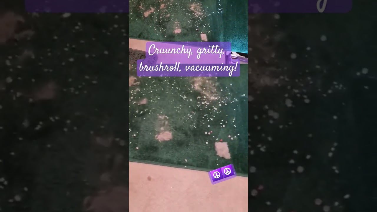 #satisfying #crunchyvacuuming #vacuumingasmr #sharkduoclean #vaccommunity #youtuber #shorts