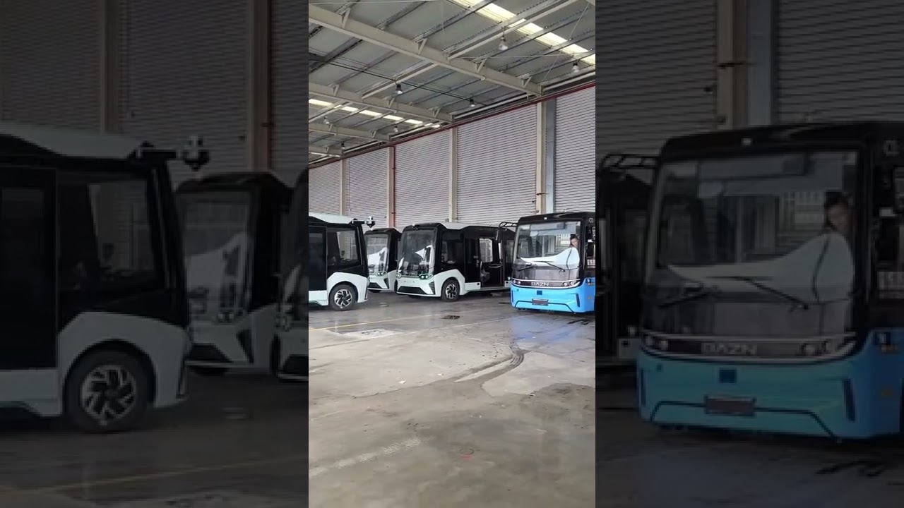 Do you think your city needs these mini electric buses?