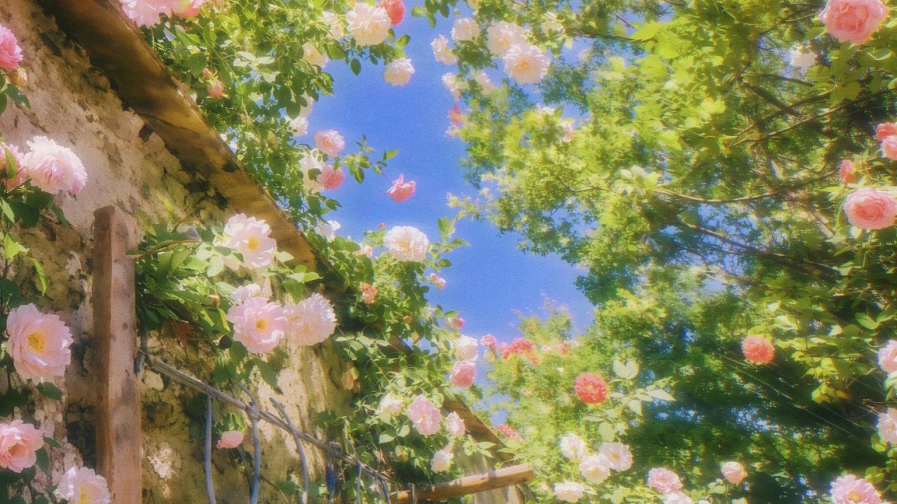 cozy spring vibes 🌿 soft piano playlist for work & reading