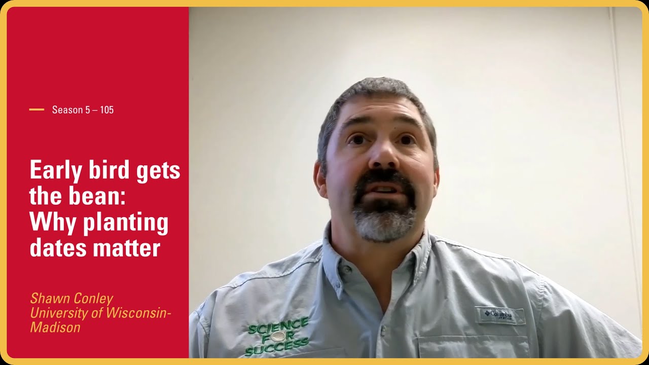 Early bird gets the bean: Why planting dates matter
