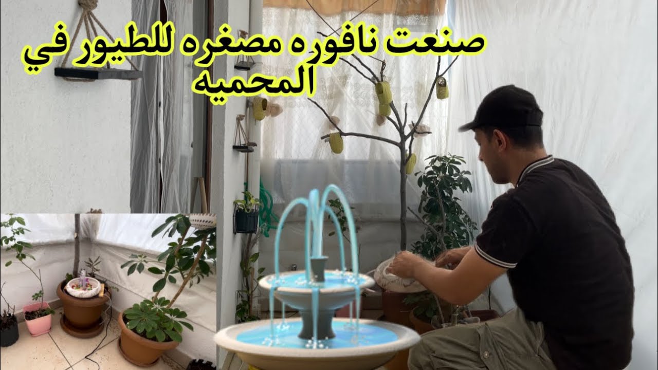 صنعت نافوره⛲️مصغره #للطيور_الكوكتيل_الزيبره صارت كلش حلوه ما شاءالله ❤️🔥