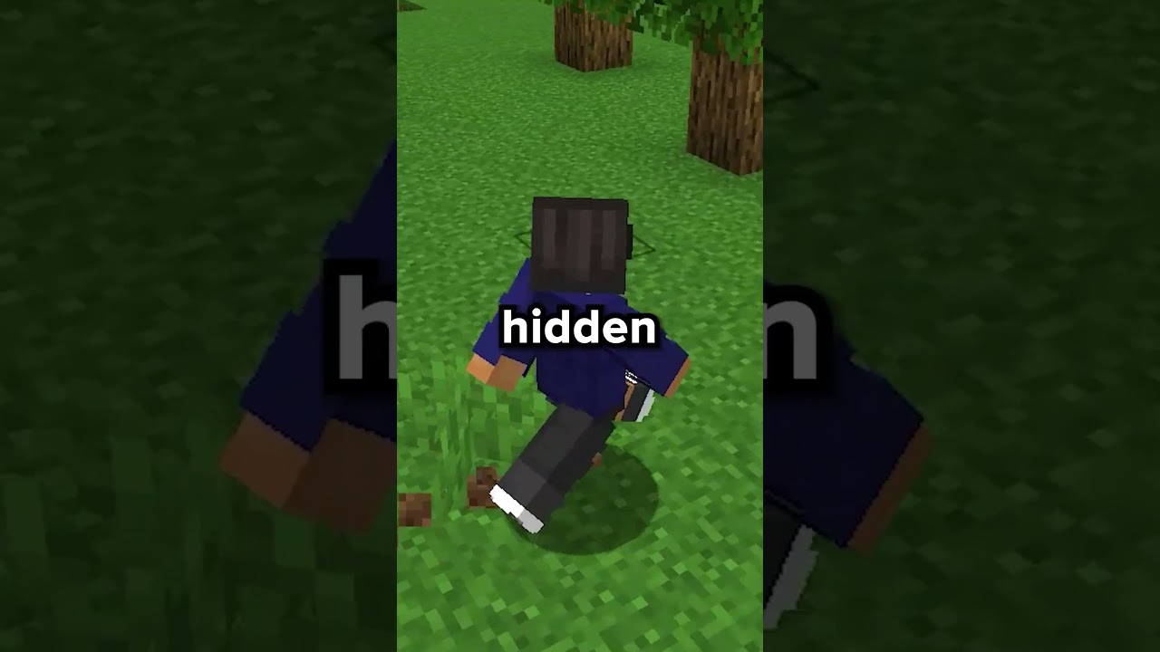 How To Hide Your Base on the Brand New Public Lifesteal SMP!