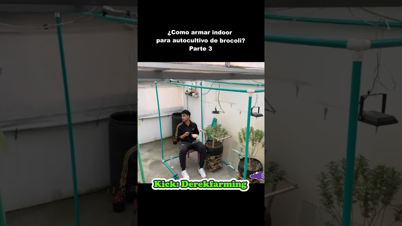 Armando indoor casero parte 3 #clips #clipstwitch #comedia #consejos #educate #tips #twitch #educati