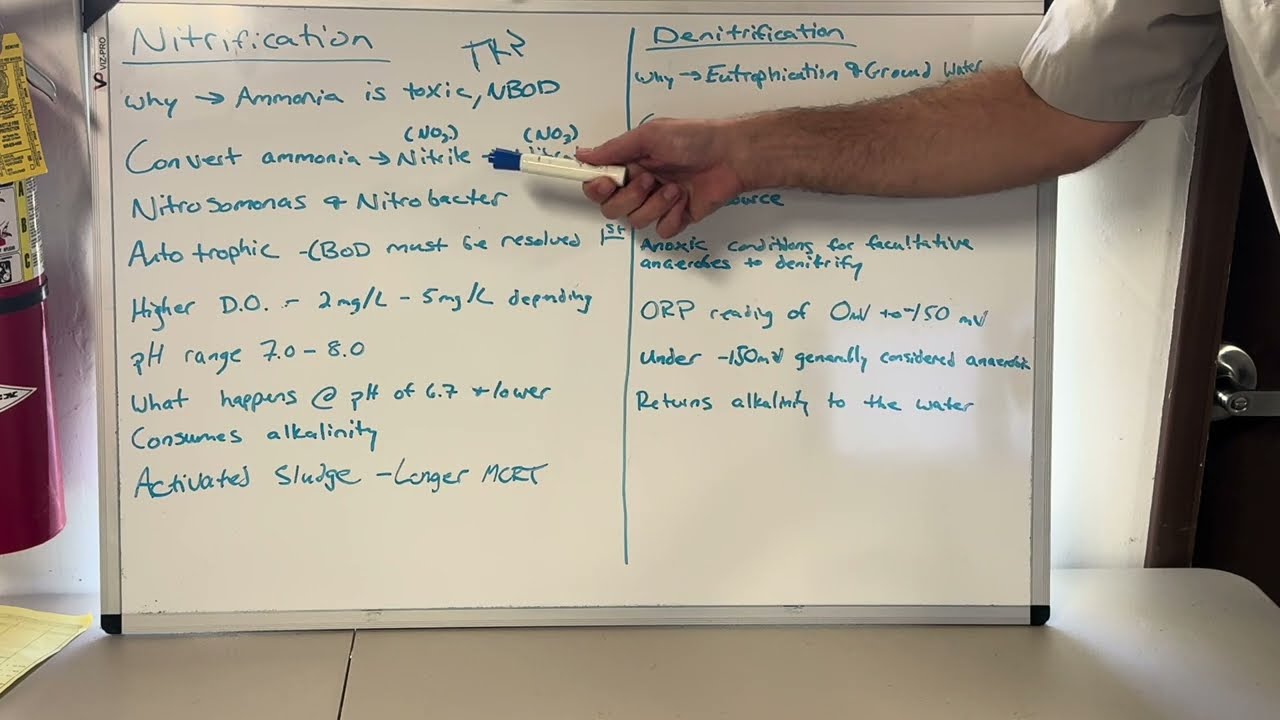 Wastewater Nitrification & Denitrification | BNR Exam Prep & Operator Scenarios Part 1