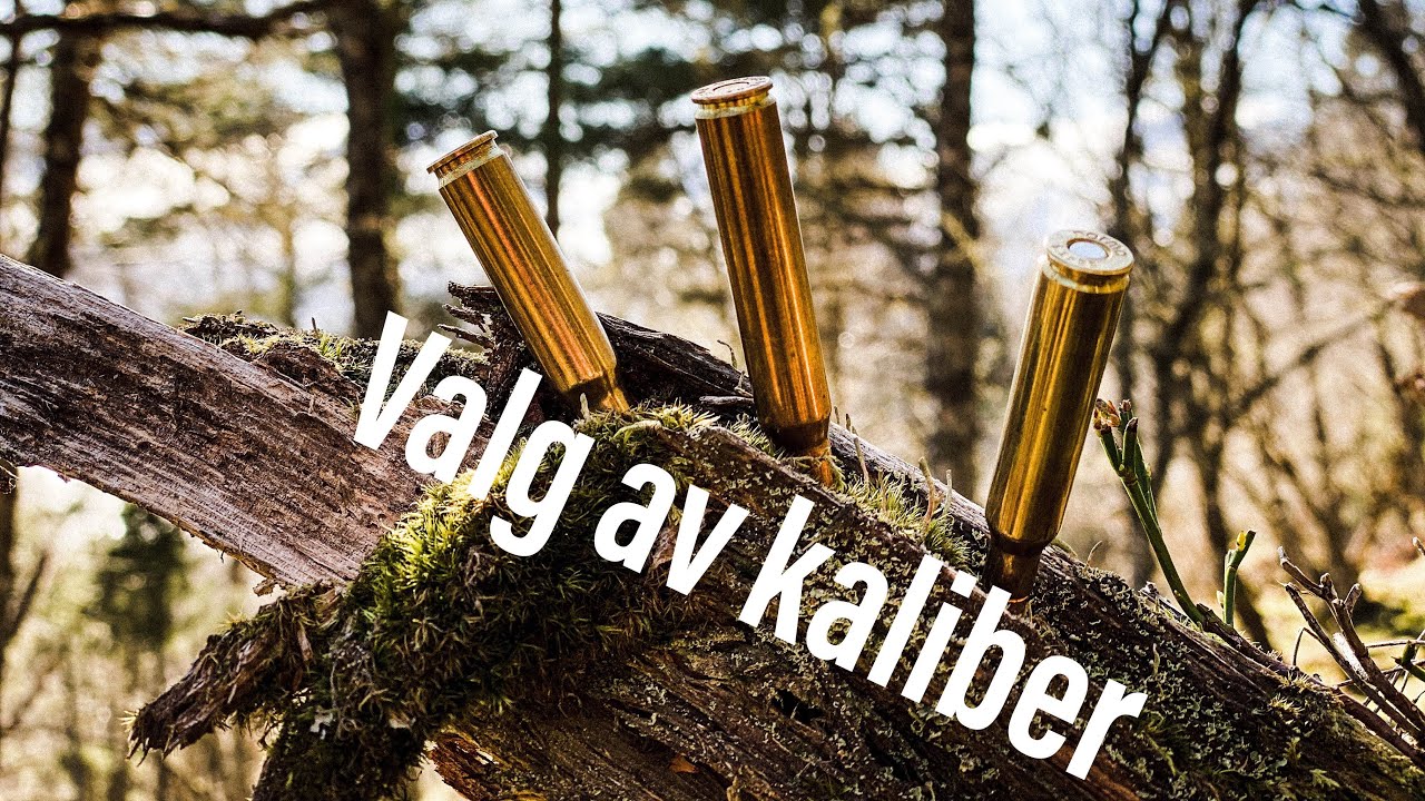 Valg av kaliber