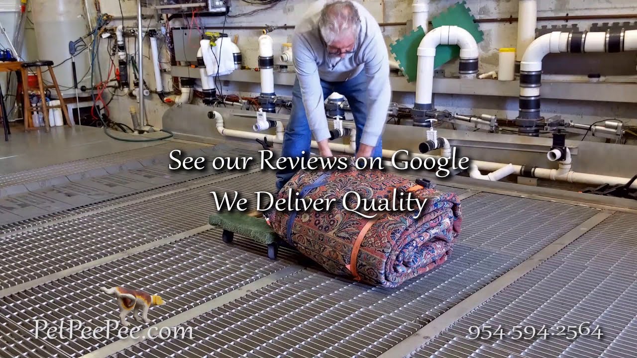 Ask PetPeePee Company: How can I make my Oriental rug look new again?