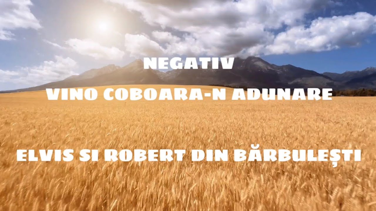 Negativ -VINO COBOARA-N ADUNARE (Playbak Elvis si Robert din Bărbulești)