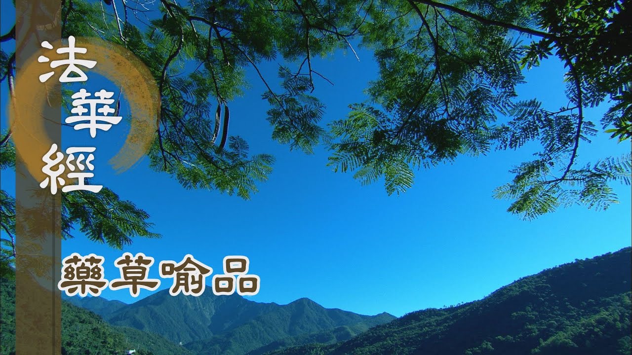 【靜思妙蓮華】法華經藥草喻品 - 性分大小 所潤是一 - 20210719 第904集