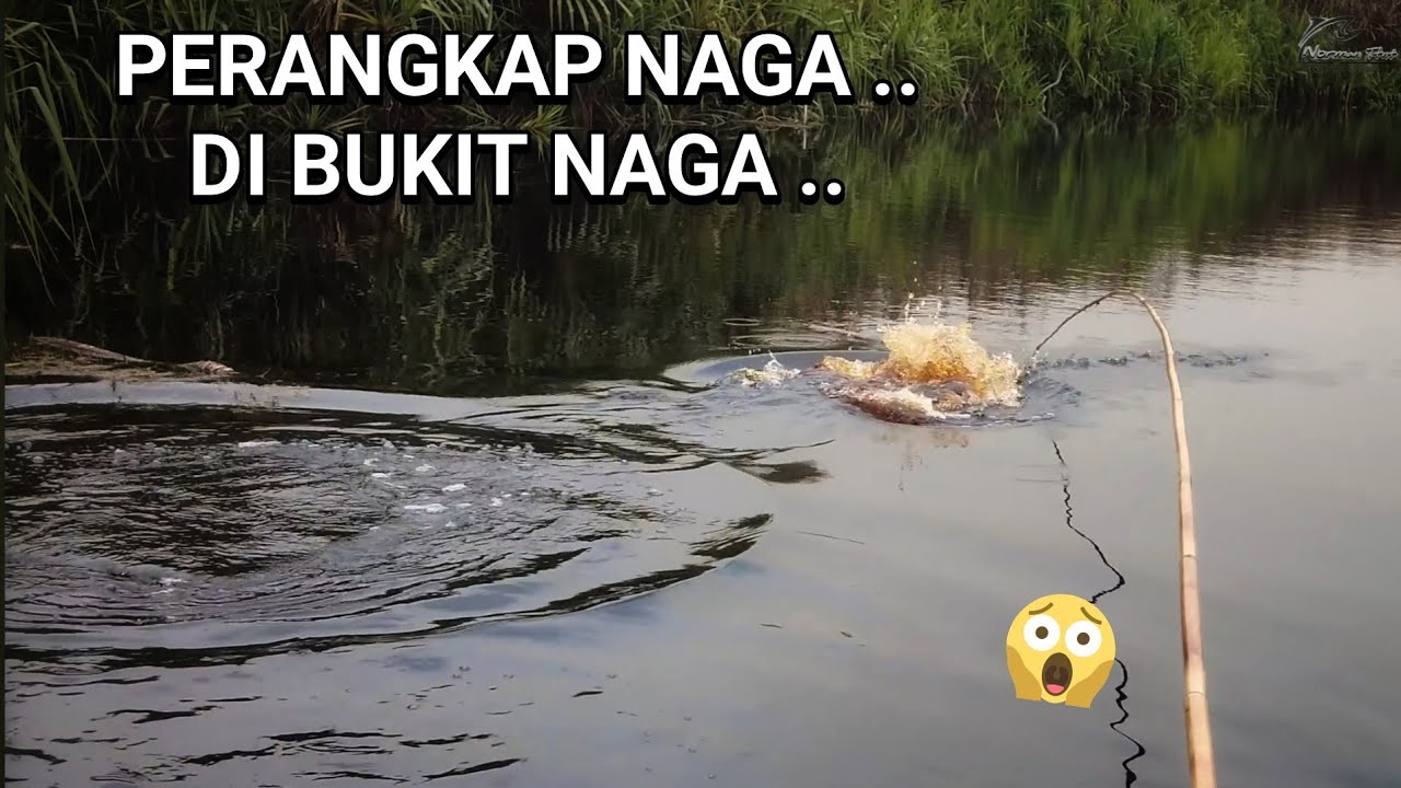 ENAKNYA TINGGAL DI KALIMANTAN  MAU MAKAN TINGGAL AMBIL IKAN ..😍😍🥰  ..