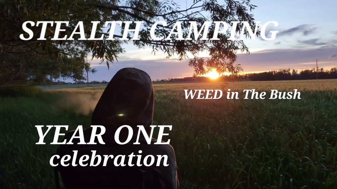 STEALTH CAMPING with WEED in the Bush on his one year anniversary.  #stealthcampingalliance #stoner