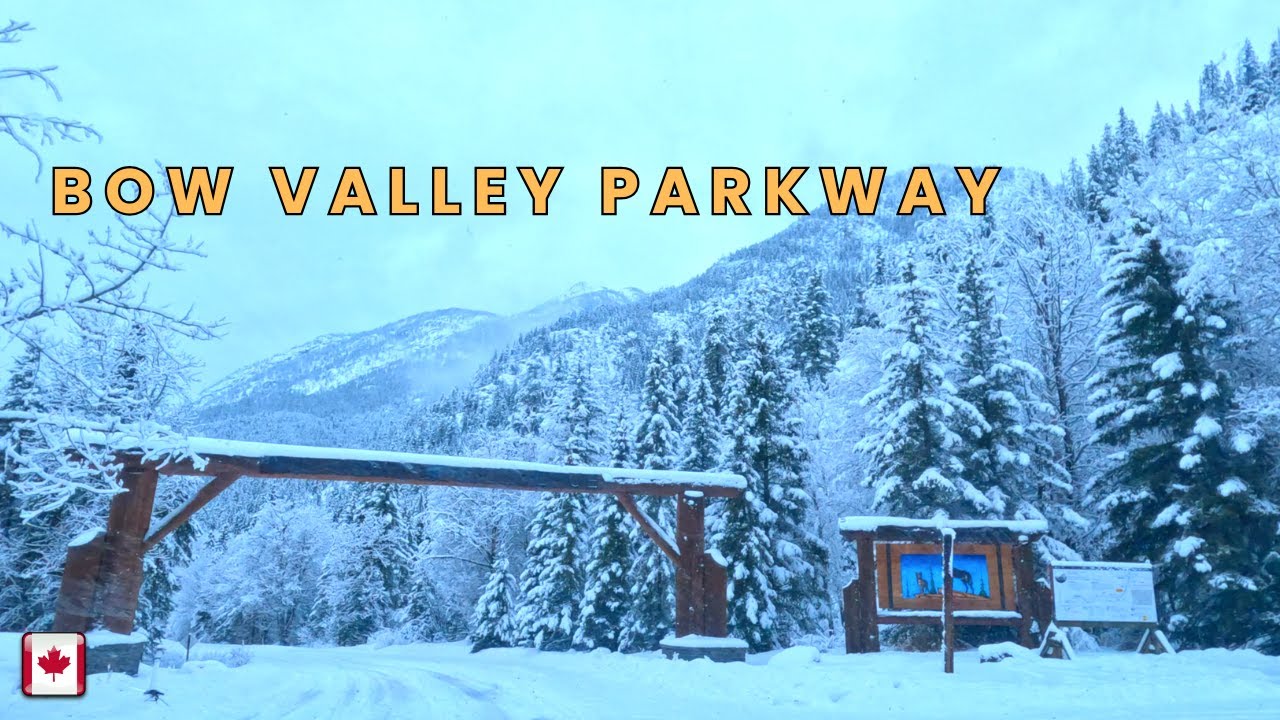 Explore the Most Breathtaking Winter Drive on Bow Valley Parkway ##banffnationalpark   #thingstodo