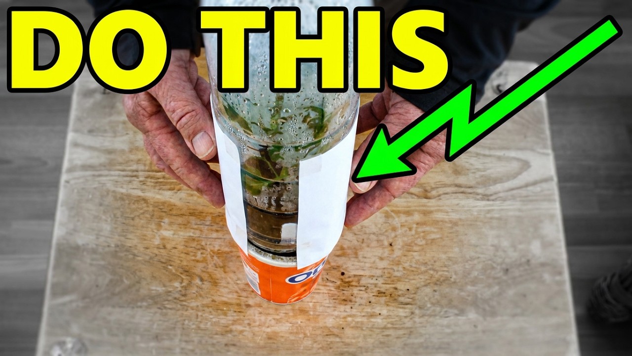 Give your Tomato plants a good start in life with this FREE Light Tube.