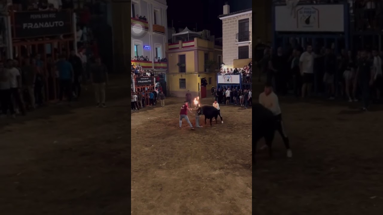 Toro Bravo Embolado se Descontrola en Fiestas!!! #Fuego #susto #toros