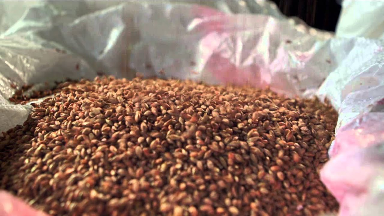 HYVIDO : Production and Supply