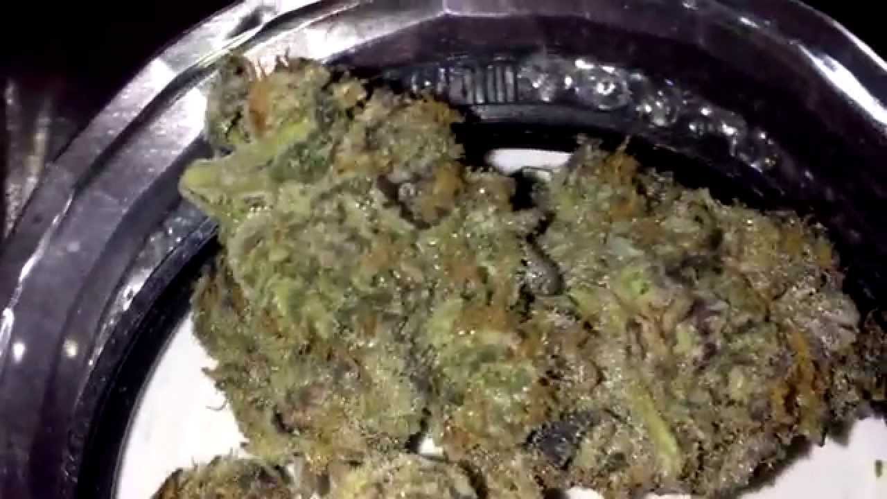 Animal Cookies & Gorilla Glue - HD Weed Porn
