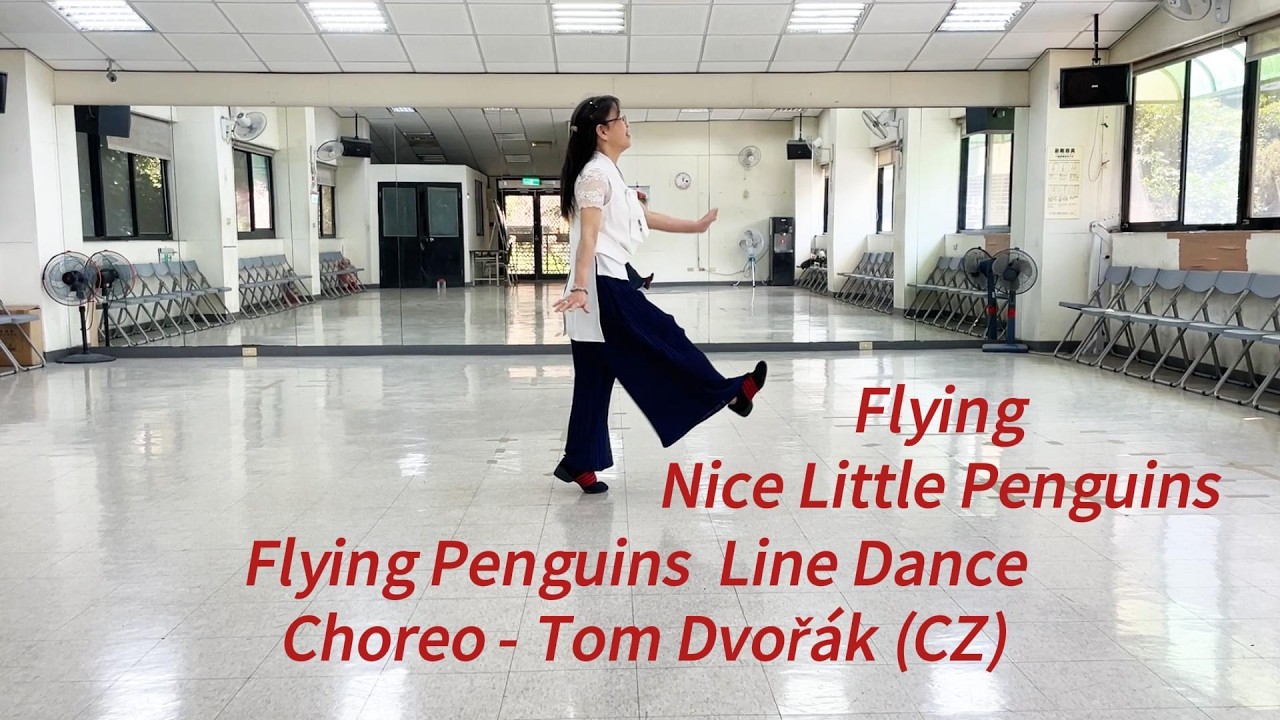 Flying Penguins Line Dance - Tom Dvorák (CZ)