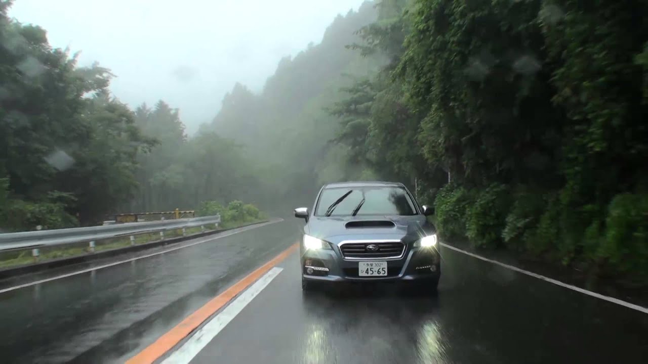 LEVORG impression
