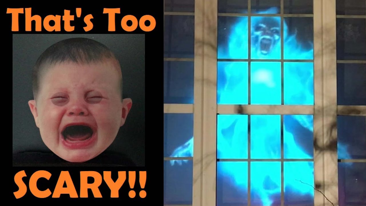 How to set up Digital Halloween Decorations with AtmosfearFX DVD videos