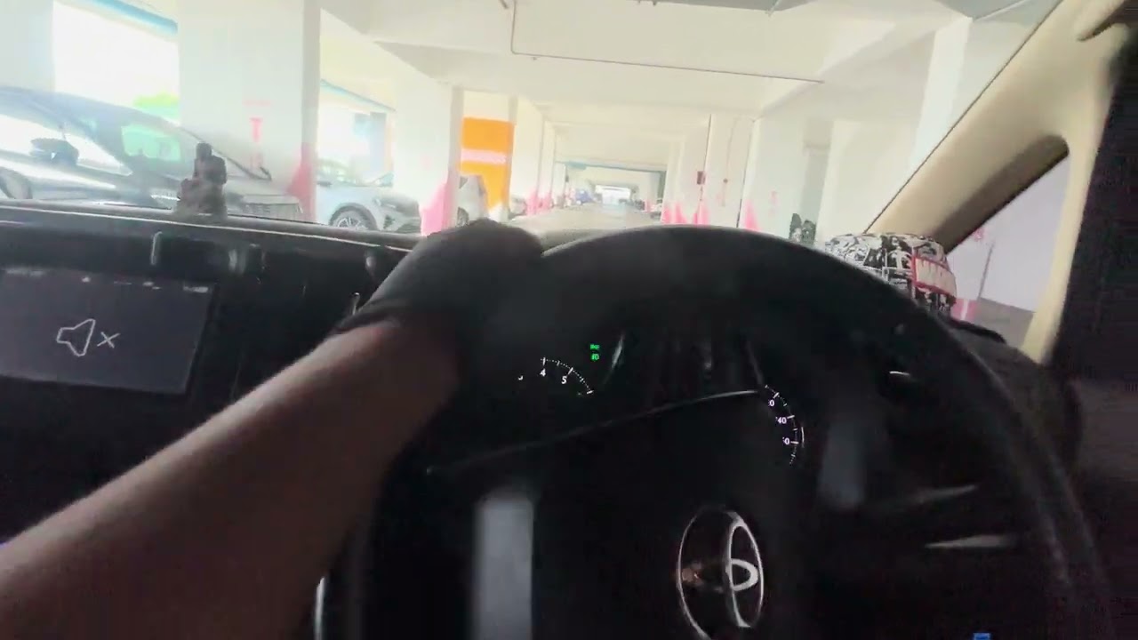 🚗 2019 TOYOTA VELLFIRE Z