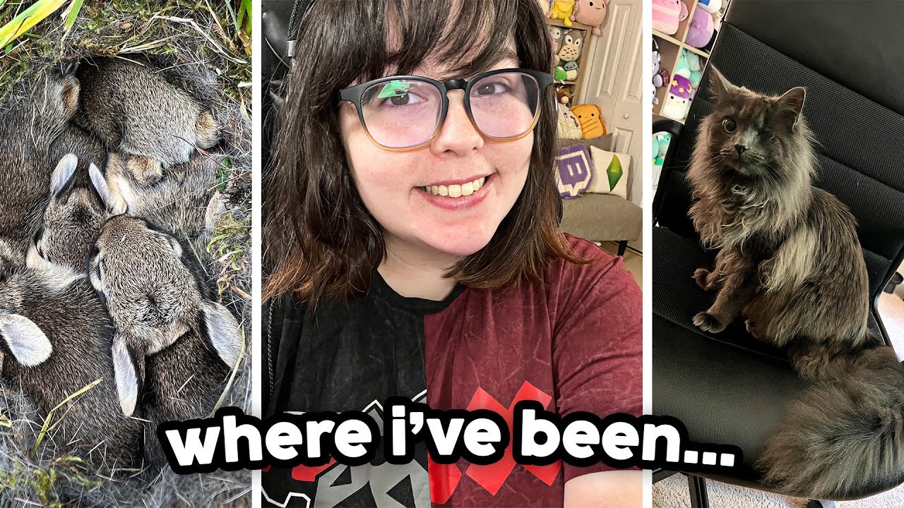 a few days in my life: content creation, baby bunnies, & hiring an editor! | vlog
