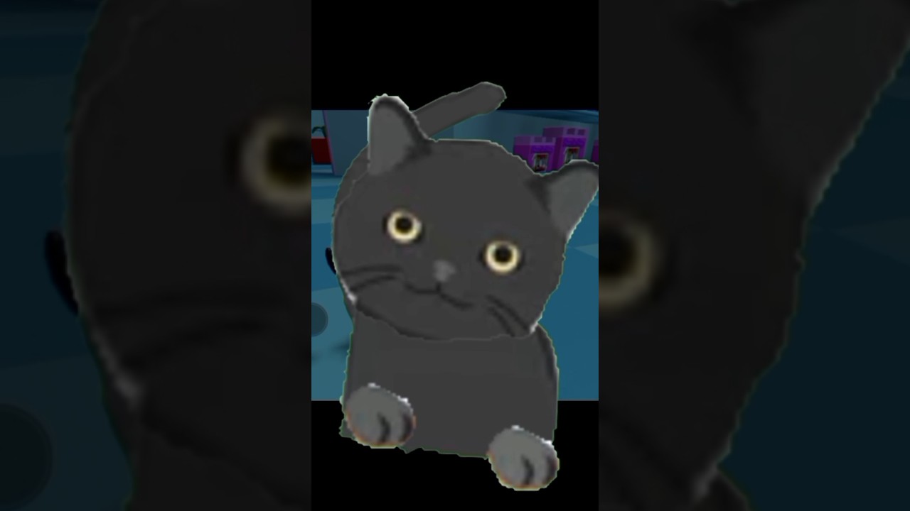 pet escape revers card😅😅😅 