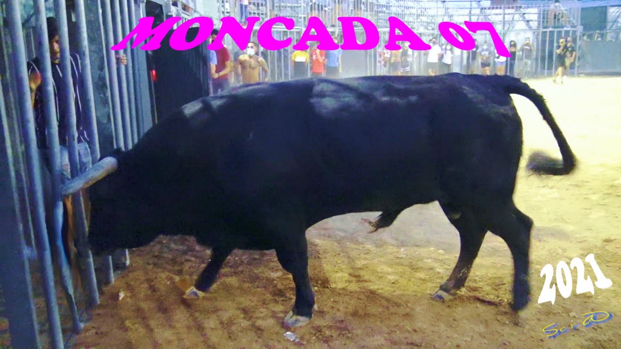 ✅2021 MONCADA 07 ◾  Ganaderia Hnos Ozcoz