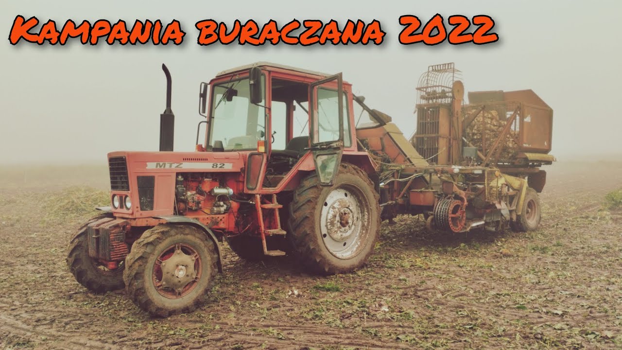 Kopanie buraka cukrowego 2022 | MTZ 82 Neptun agromet famarol Słupsk | Oshee Tv