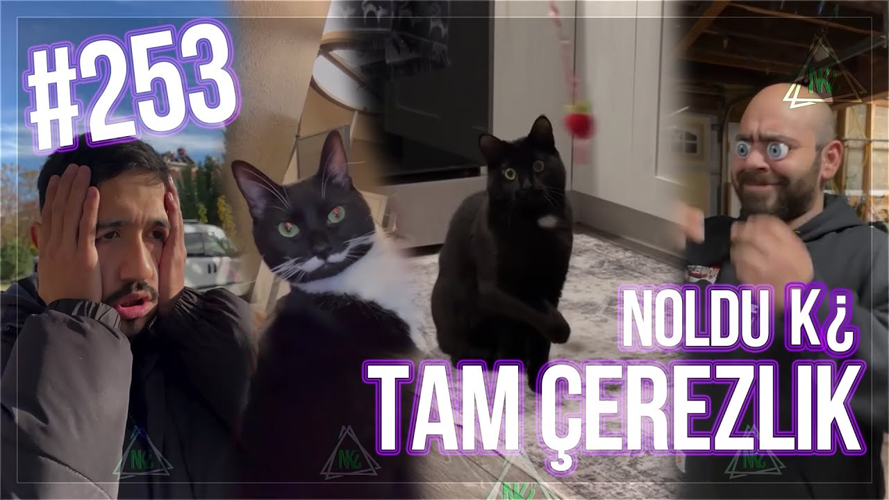 Noldu Ki &iquest; | Tam &Ccedil;erezlik | #253