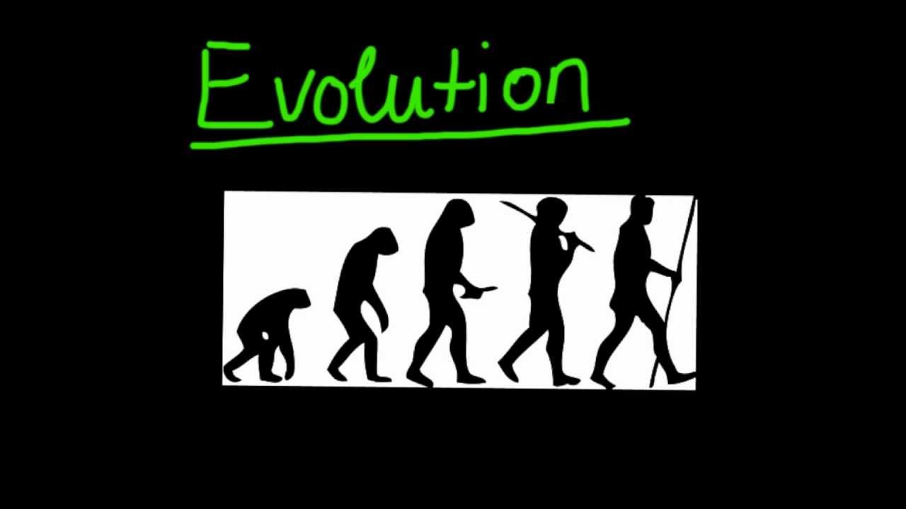 Einf&uuml;hrung in die Evolution und die nat&uuml;rliche Selektion - Biologie