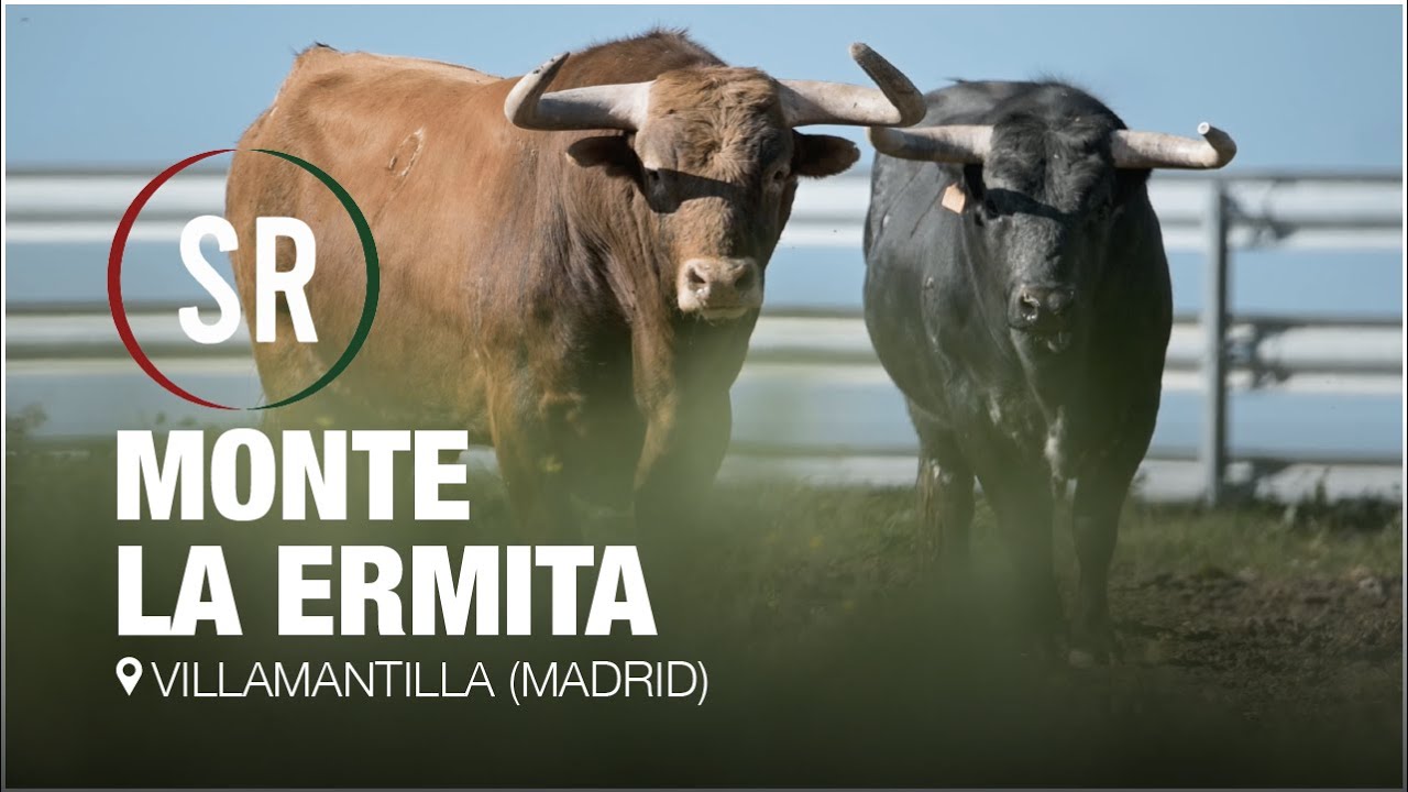 MONTE LA ERMITA, reportaje. 
