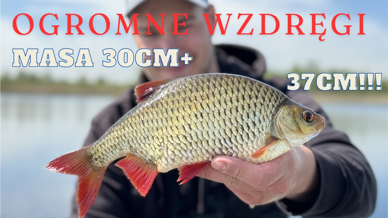 | PIĘKNE WZDRĘGI na SPINNING | MASA BRAŃ na ULTRALIGHT w MAJU | Odc. 44