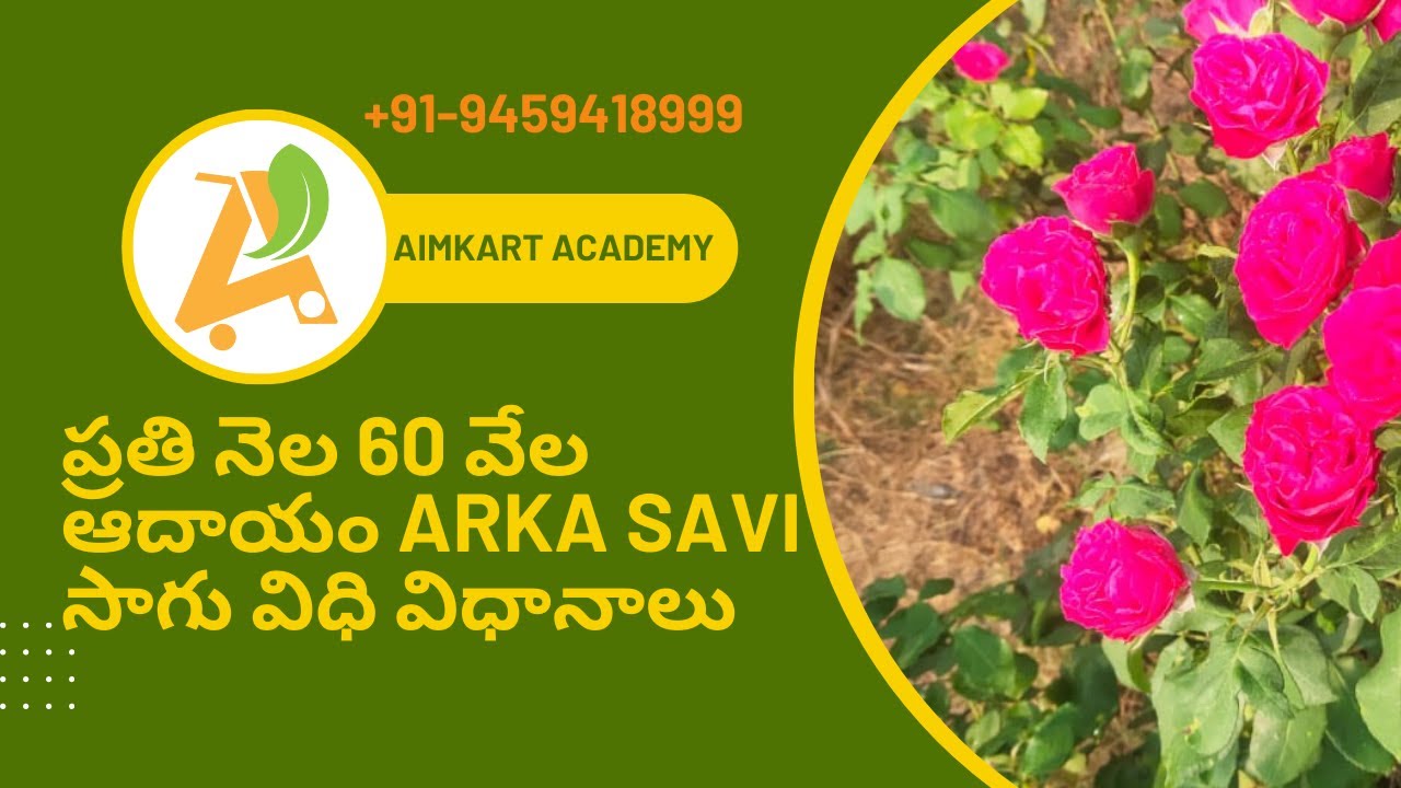 ప్రతి నెల 60 వేల ఆదాయం ARKA SAVI సాగు విధి విధానాలు |వ్యవసాయమే వ్యాపార మార్గాల కోర్సెస్