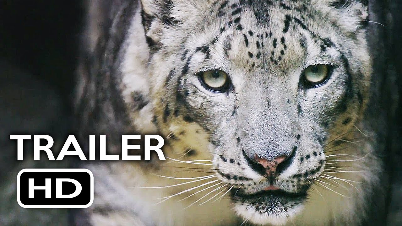 Born in China Official Earth Day Trailer (2017) Disneynature Documentary Movie HD