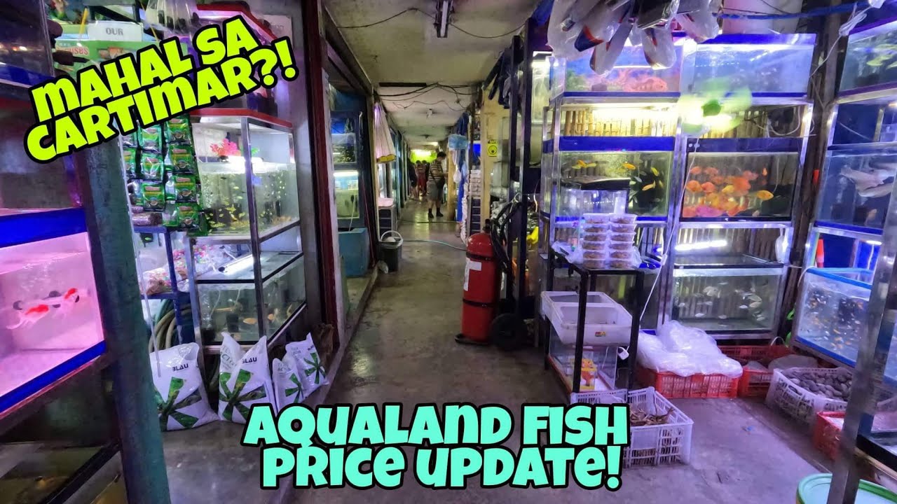 CARTIMAR AQUALAND ALLEY FISH PRICE UPDATE!SAGANA SA MGA DISCOUNTS AND PROMO!SOBRANG SOLID!!😱😱😱