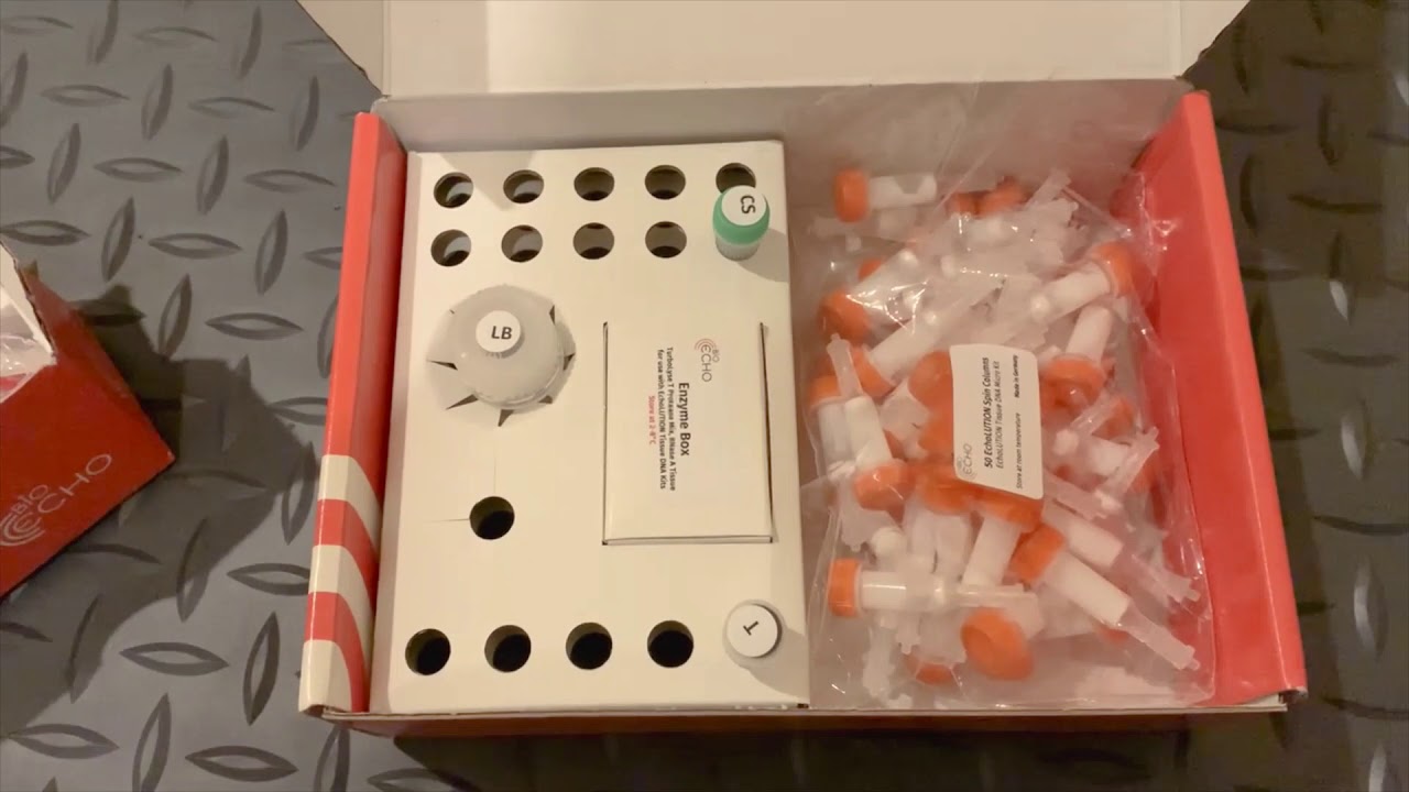 Rapid DNA Extraction using BioEcho Kits