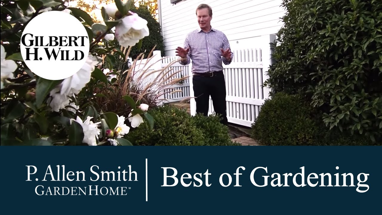 The Best of Gardening | Garden Home (1515)