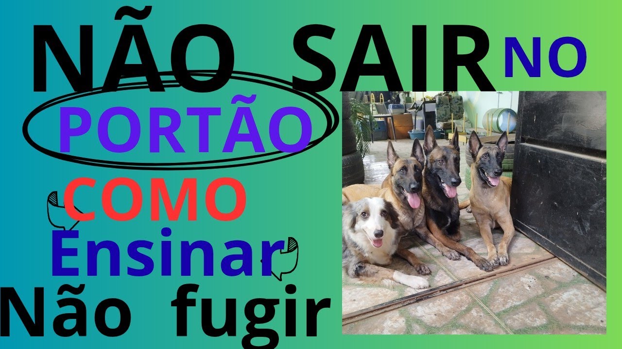 Como ensinar não sair no portão.
