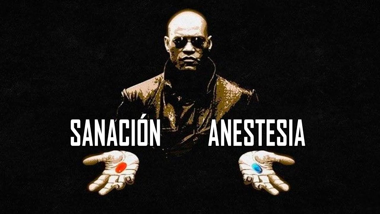 El camino de la sanación es doloroso