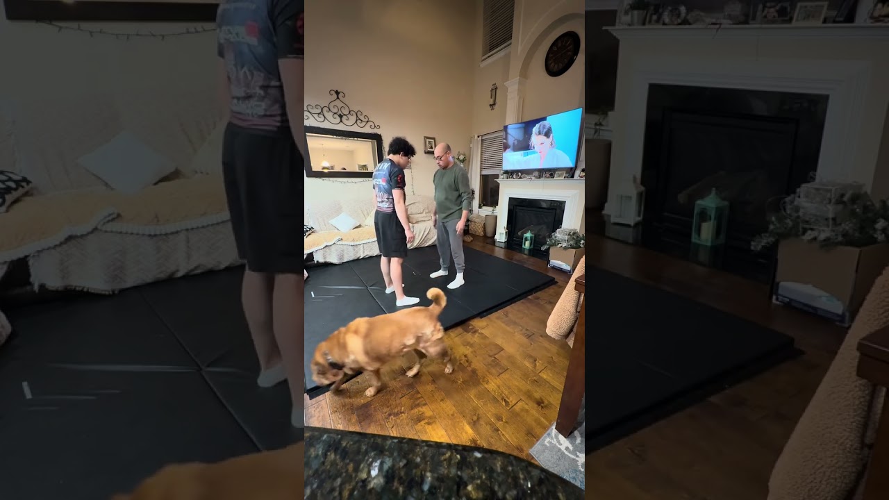 Seoi-Nage Informative Speech