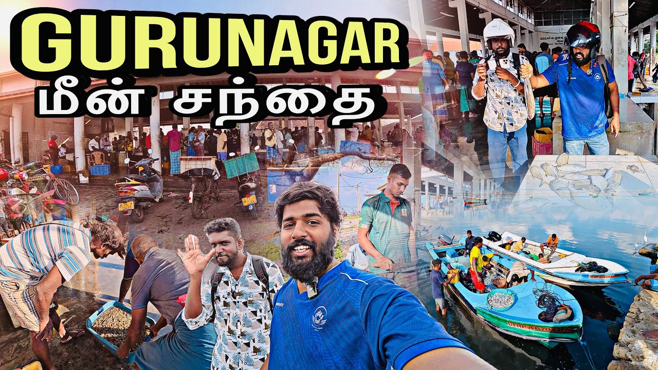 ஏற்றுமதி இல்லாமையால் விலை குறையும் மீன்கள் | யாழ்ப்பாணம் குருநகர் ஊரில் ஏற்ப்படும் மாற்றம்....🏕️