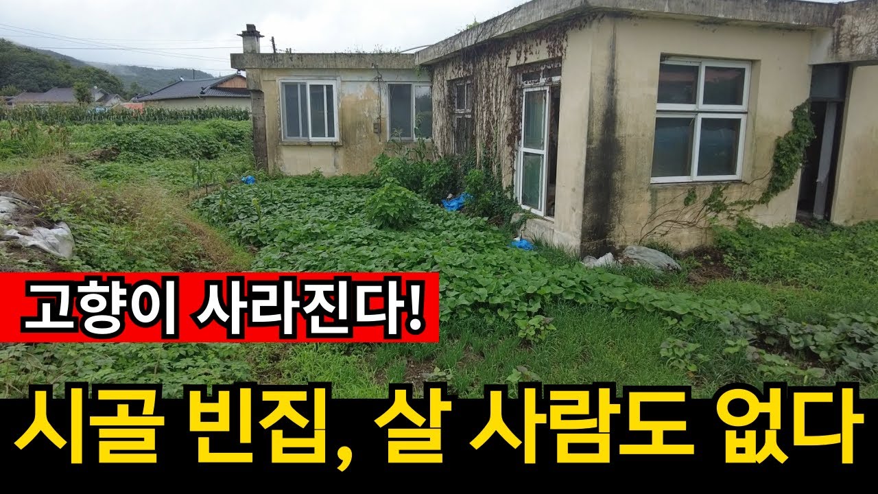 고향이 사라진다! 빈집이 하루가 다르게 늘어납니다 [모음집]