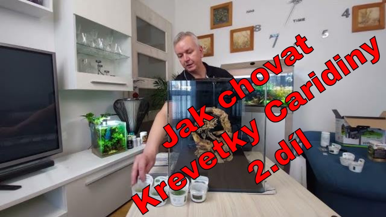 Akvárium pro Krevetky - Caridiny 2. díl - Založení Akvária