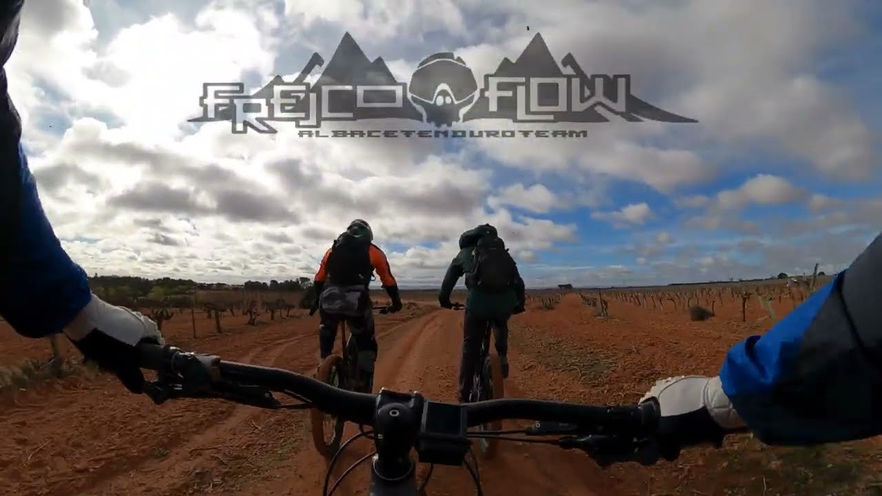 PUIG/DENILO FREE/FLOW