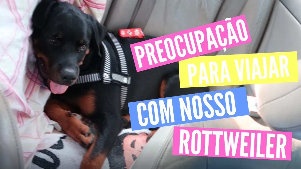 #VLOG - NOSSA PRIMEIRA VIAGEM LONGA COM O BOB, NOSSO ROTTWEILER.
