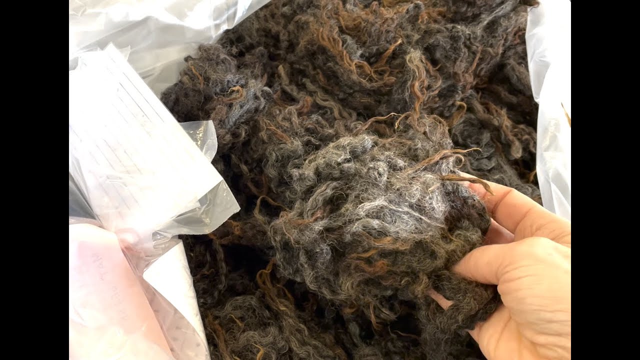 Knitter's Life, The Rhinebeck episode