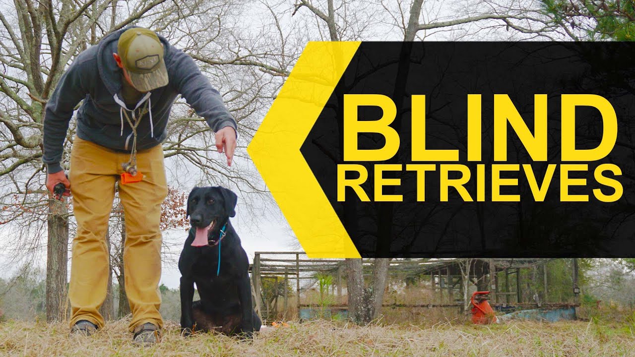The Art of Running Blind Retrieves
