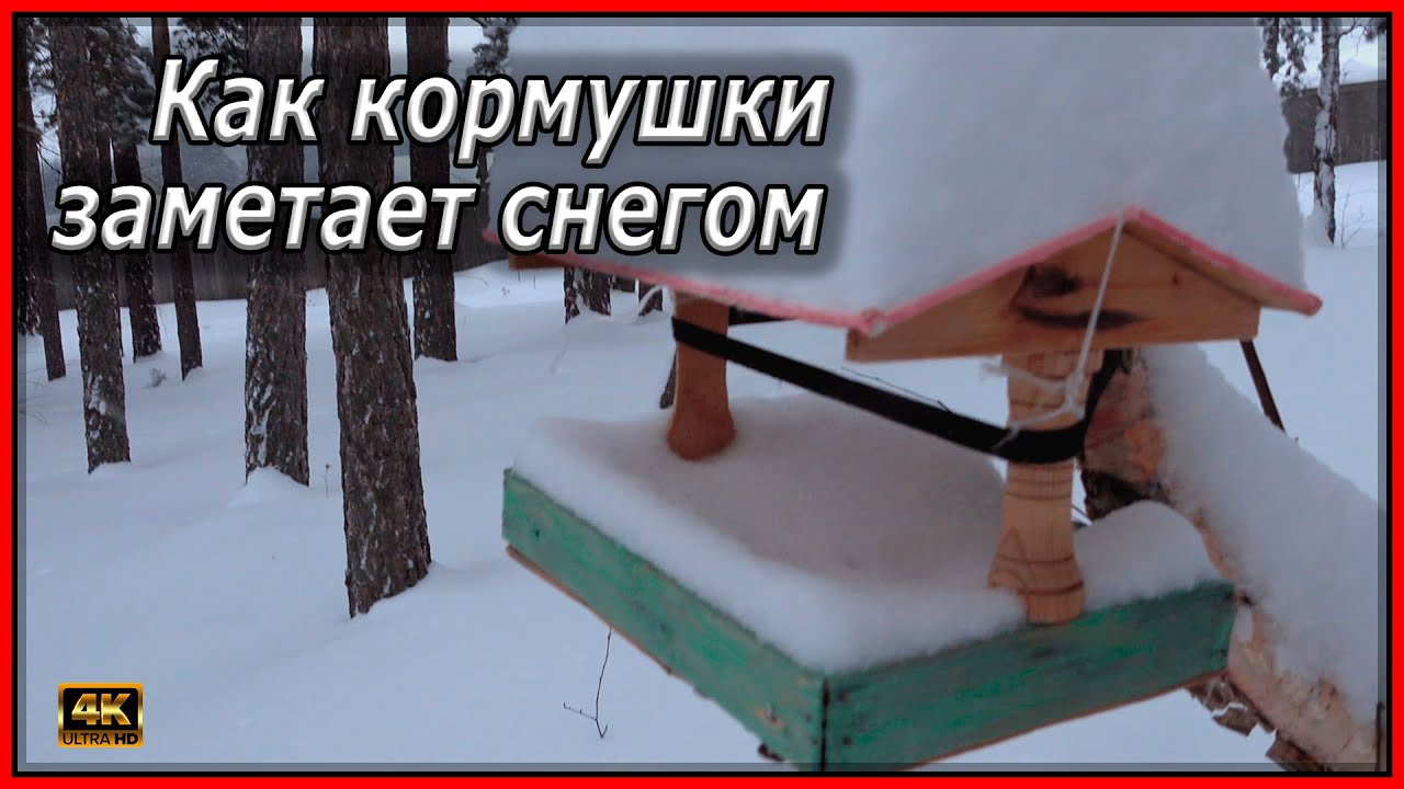 Как кормушки заметает снегом. Так какая же кормушка лучше против снегопада ?