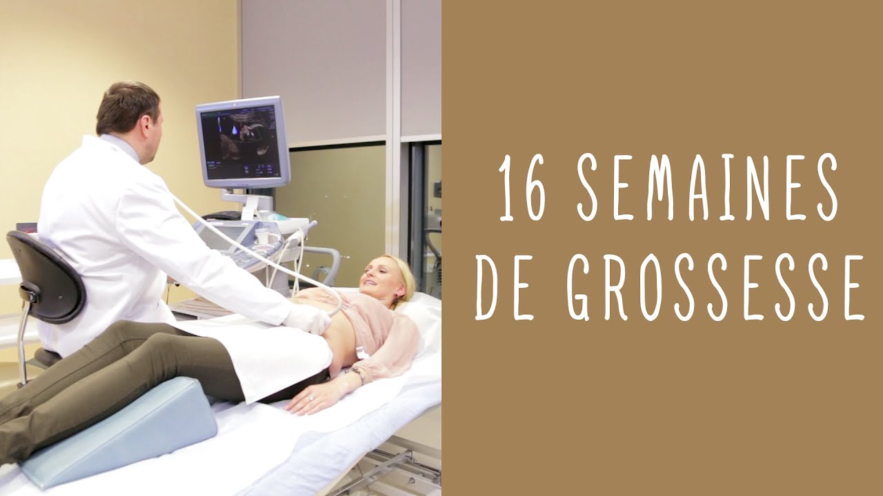 16 semaines de grossesse