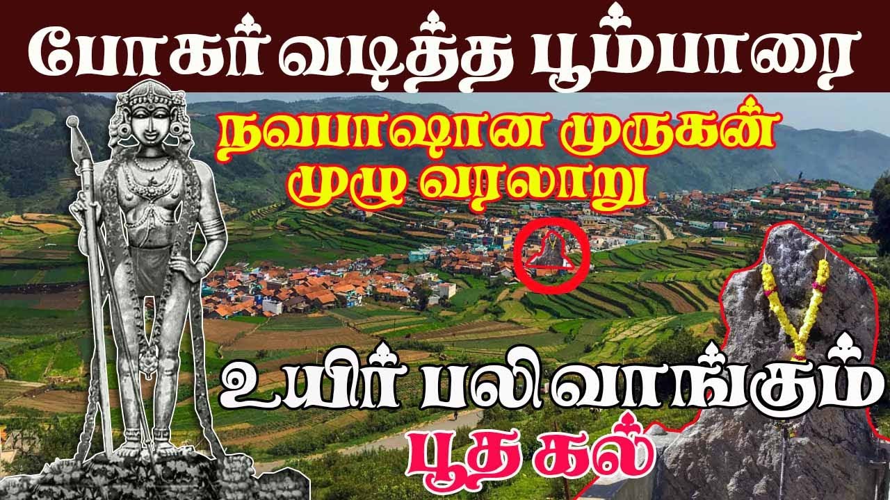 பூம்பாரை முருகன் முழு வரலாறு - poombarai - InfoGo