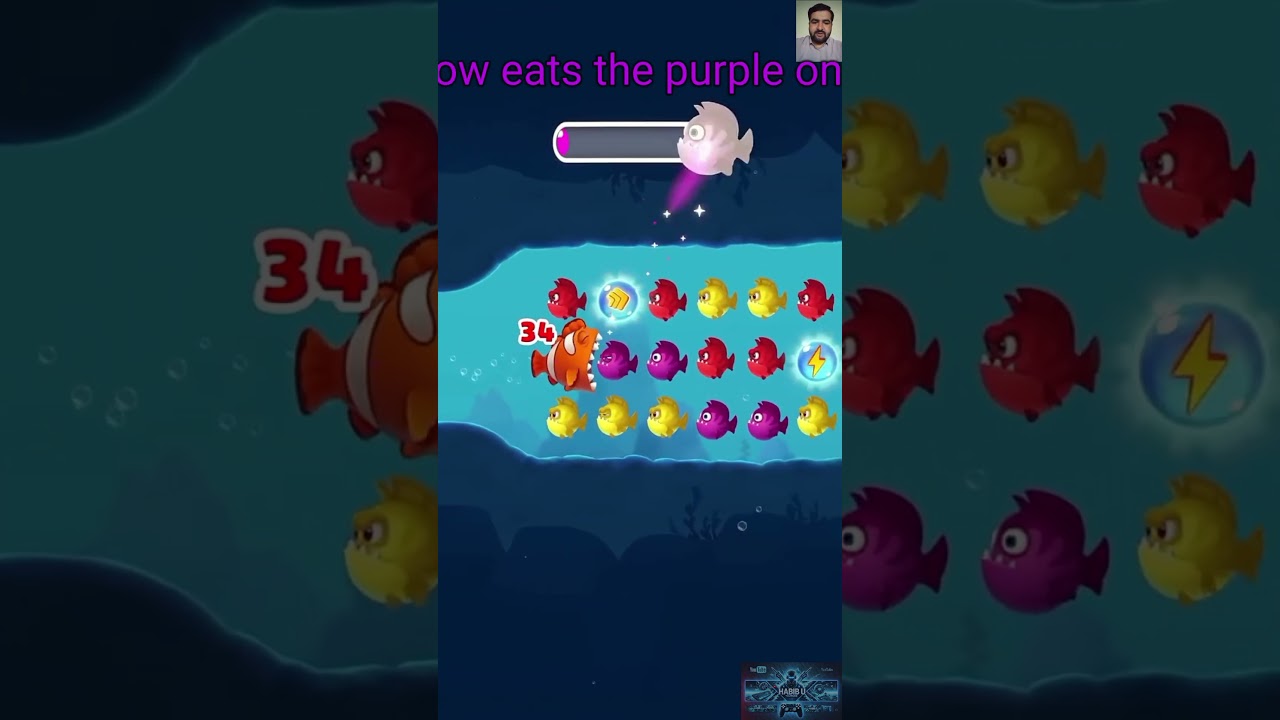Fill the bar & Eats the Boss Fish l Fishdom mini game ads review Video